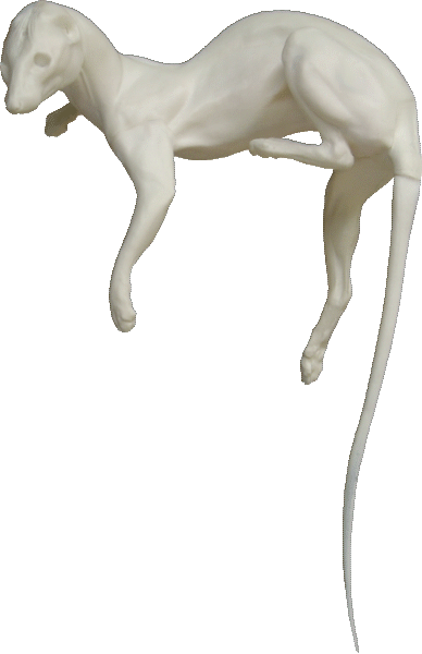 p646129