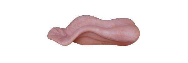 p646129
