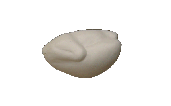 p646129