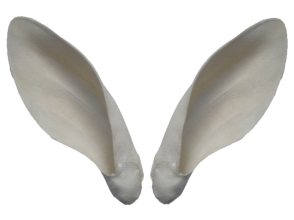 p646129