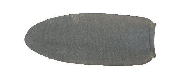 p646129