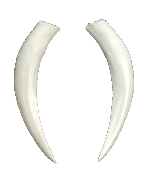 p646129