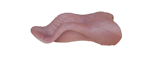 p646129