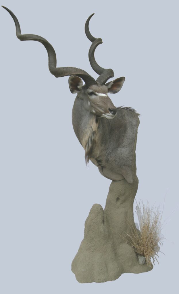 p646129