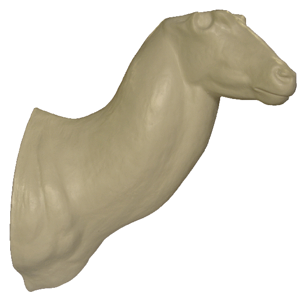 p646129