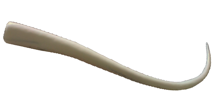 p646129