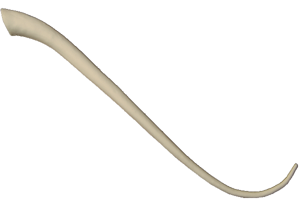 p646129