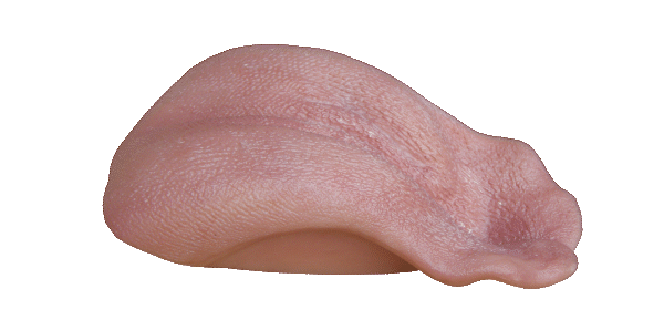 p646129