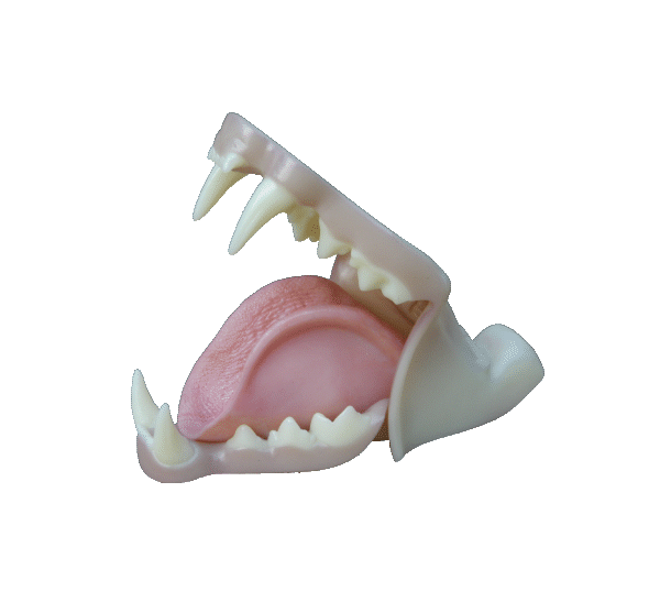 p646129