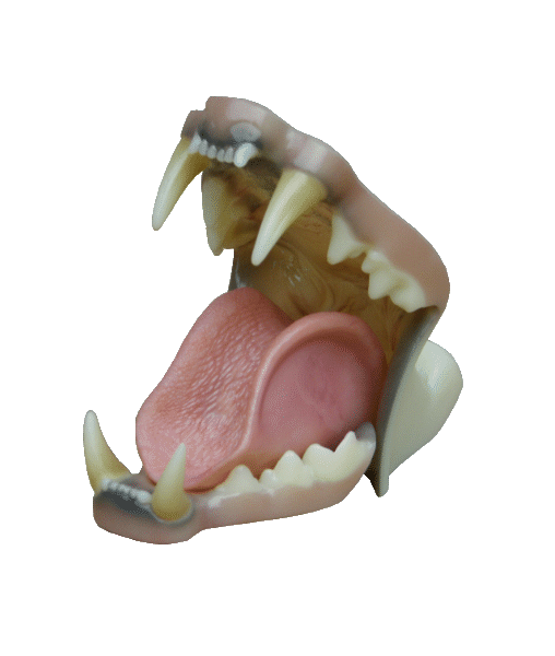 p646129