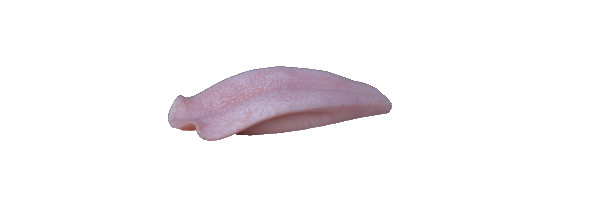 p646129