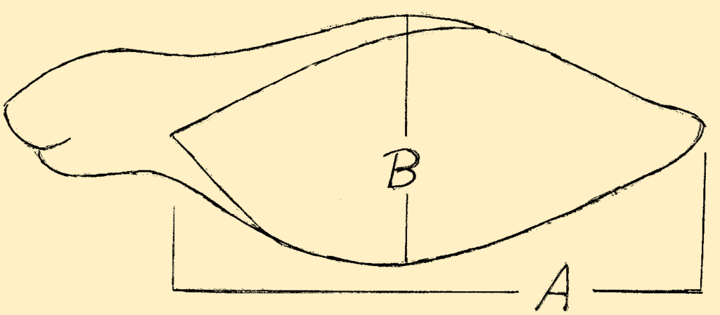 p646129
