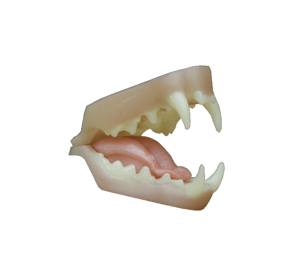 p646129