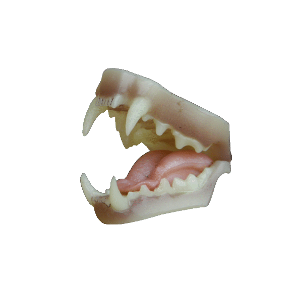 p646129