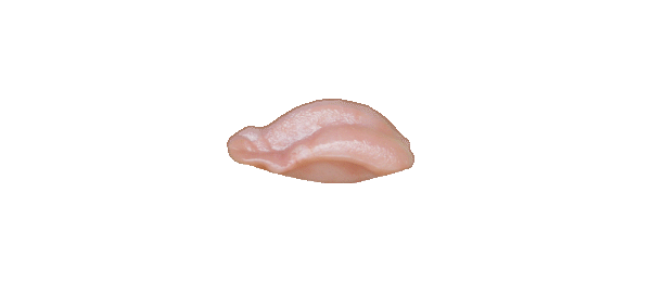 p646129