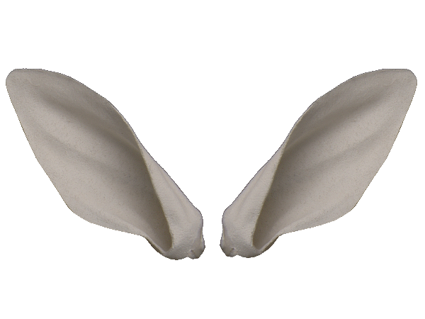 p646129
