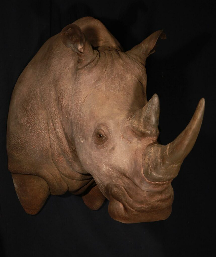 p646129