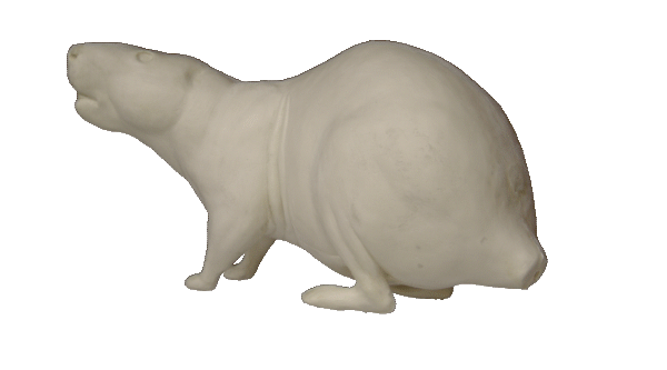 p646129
