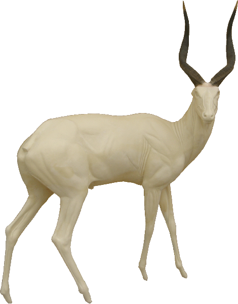 p646129