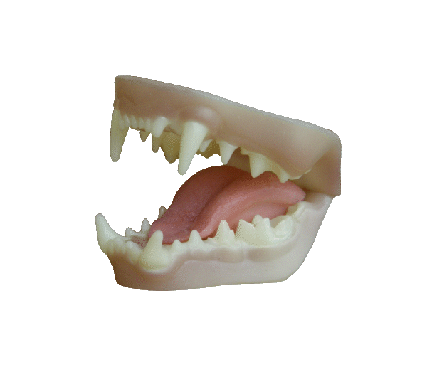 p646129