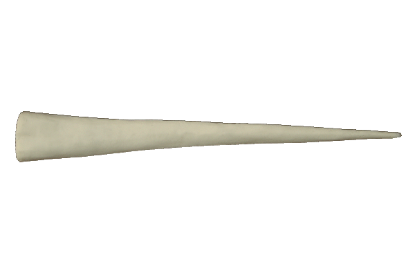 p646129