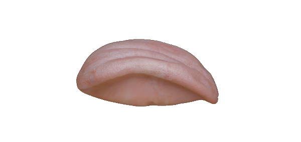 p646129