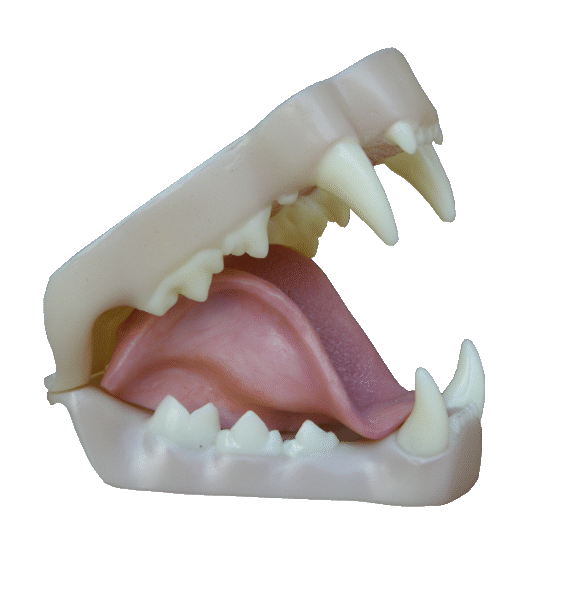 p646129
