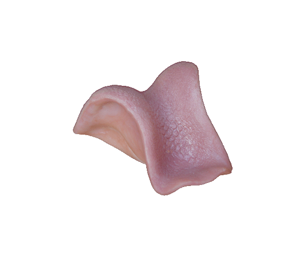 p646129