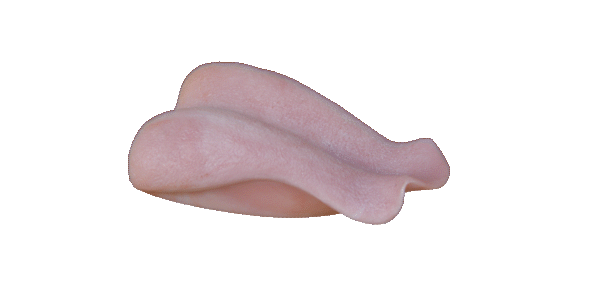 p646129