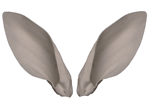 p646129