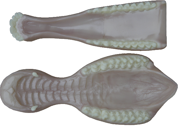 p646129