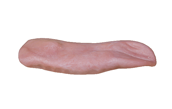 p646129