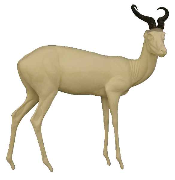 p646129