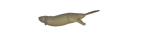 p646129