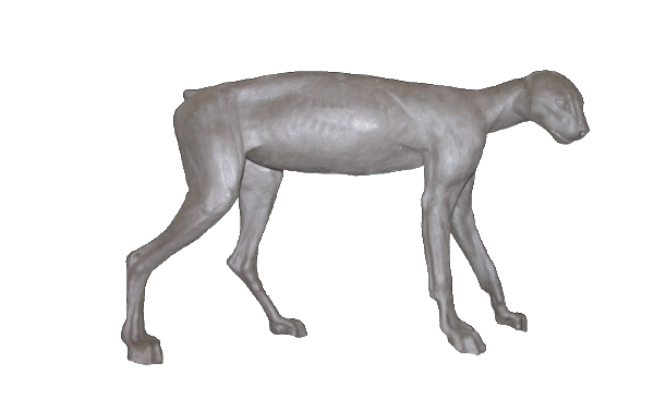 p646129