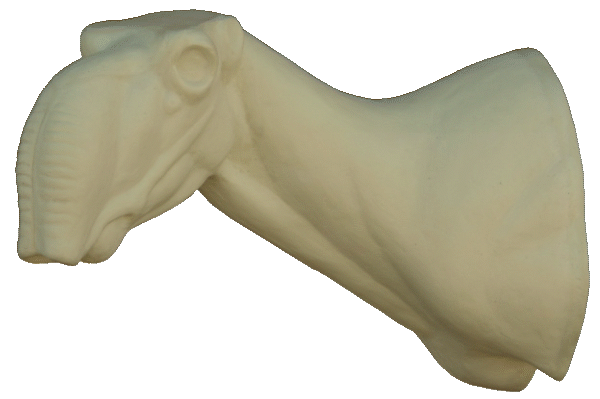 p646129