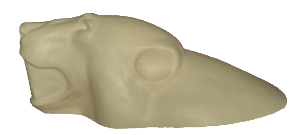 p646129