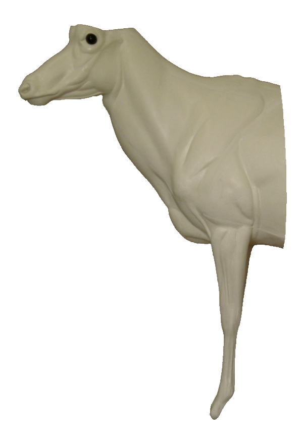 p646129