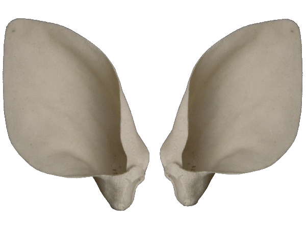 p646129
