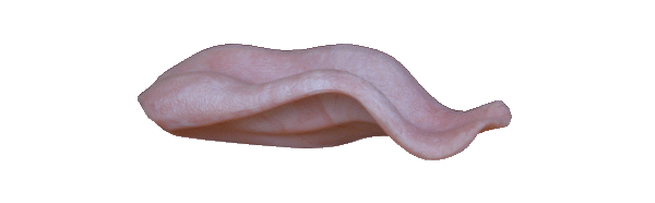 p646129