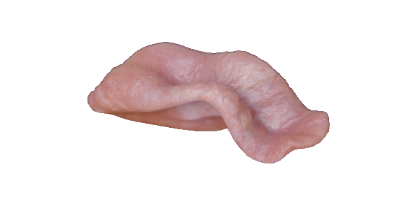 p646129