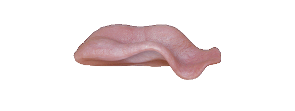 p646129