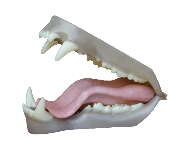 p646129