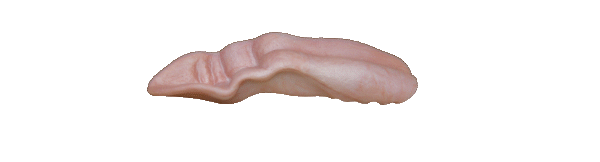 p646129