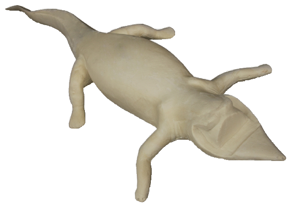 p646129