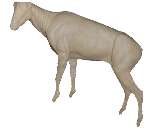 p646129