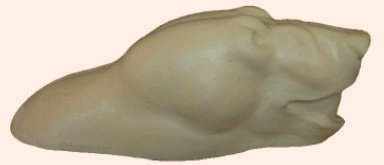 p646129