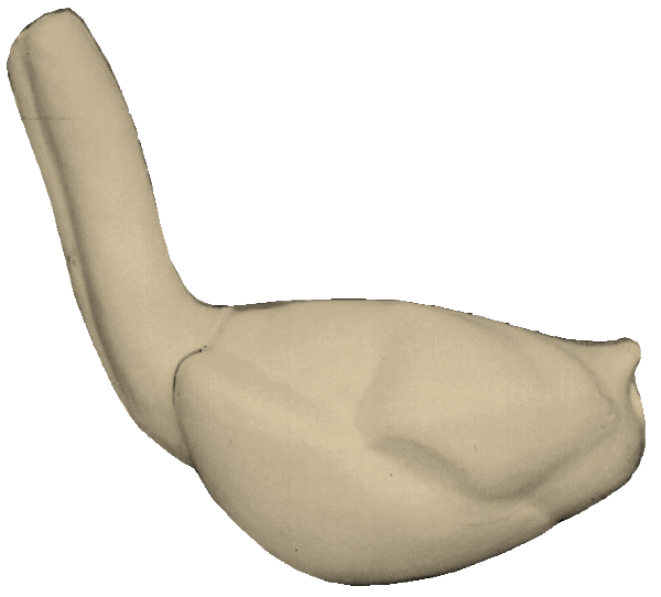 p646129