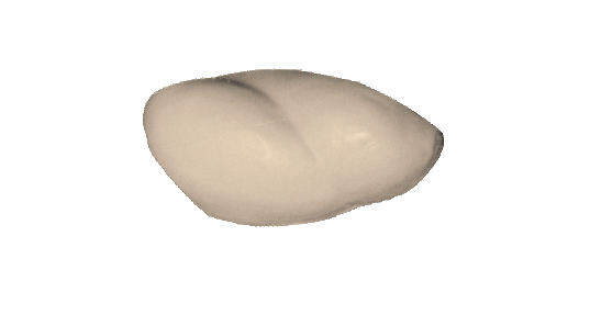 p646129