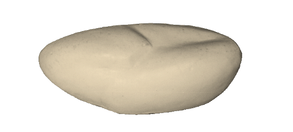 p646129